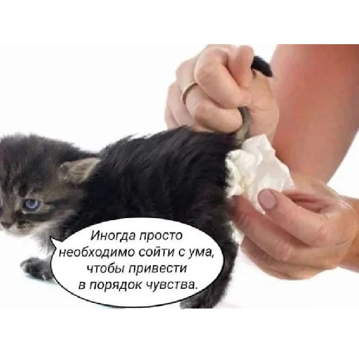 Стикер юбочка чулочки я чвк фембойчик)))