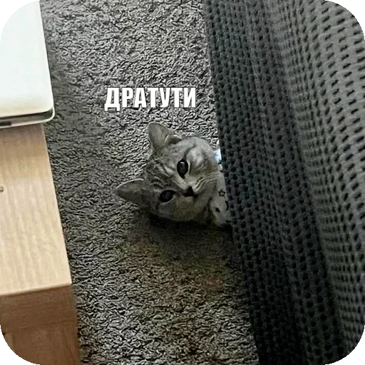 👋
