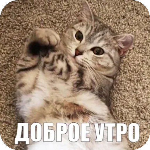 Стикер Yuki