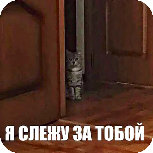 Стикер Yuki