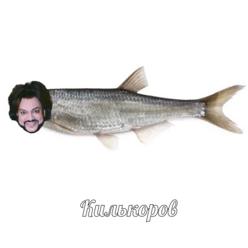 Стикер рофлы с фамилиями актеров