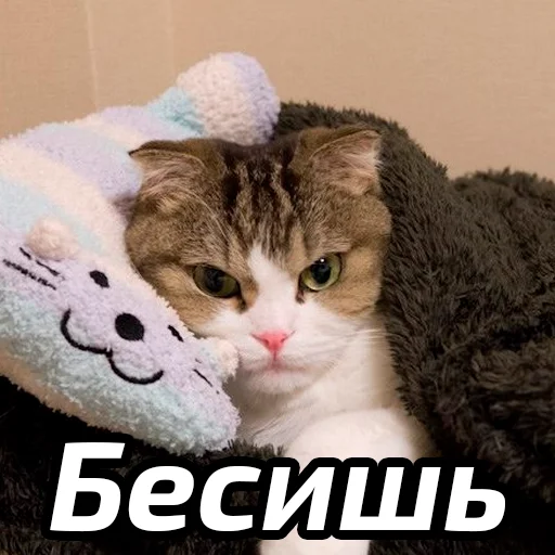 Стикер Бабские стикеры