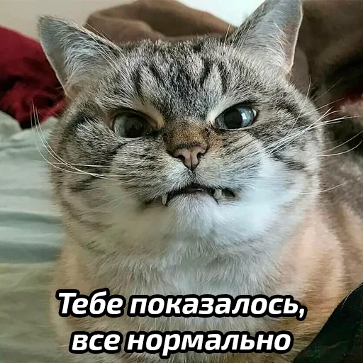 Стикер Бабские стикеры