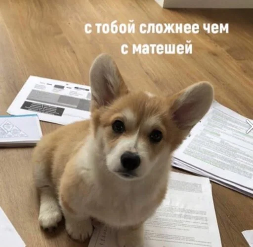 Стикер zhenyamssongs