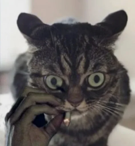 Стикер Жеваный Крои